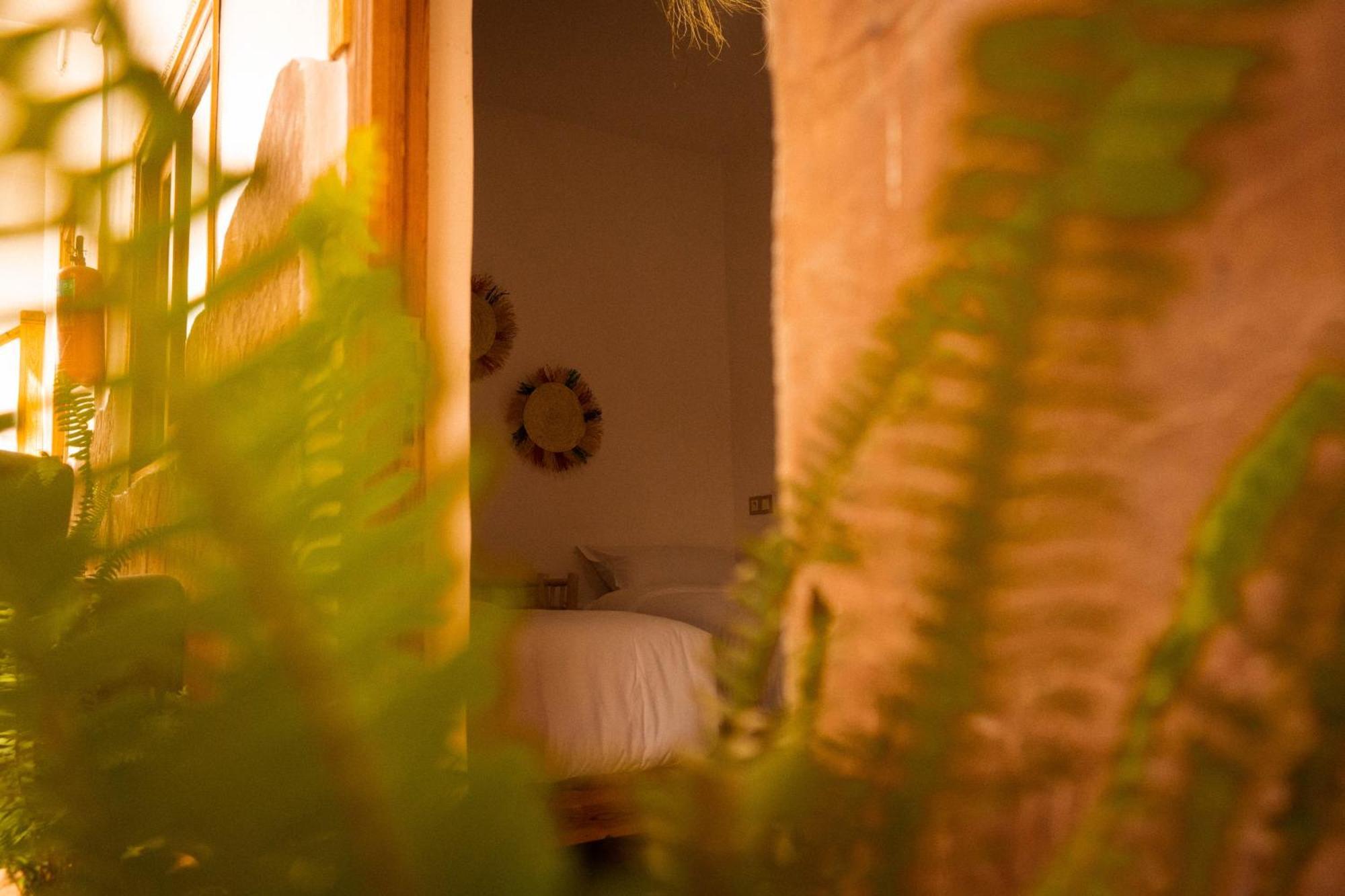 Single Fin Taghazout Surf & Stay 외부 사진